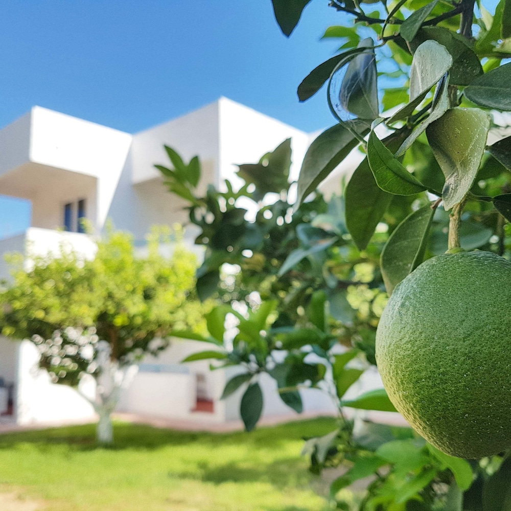 Ladikos Garden - last minute hotel in Rodos