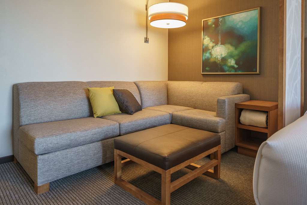 Hyatt Place Houston Galleria - photo 9