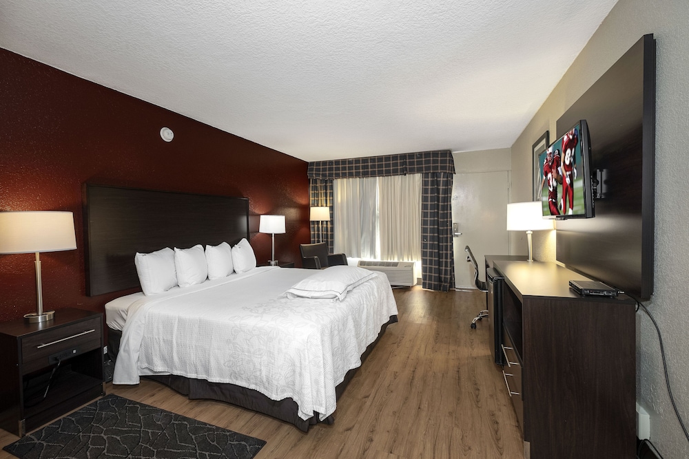 Red Roof Inn PLUS St Augustine - photo 21