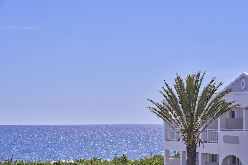 מראה חיצוני