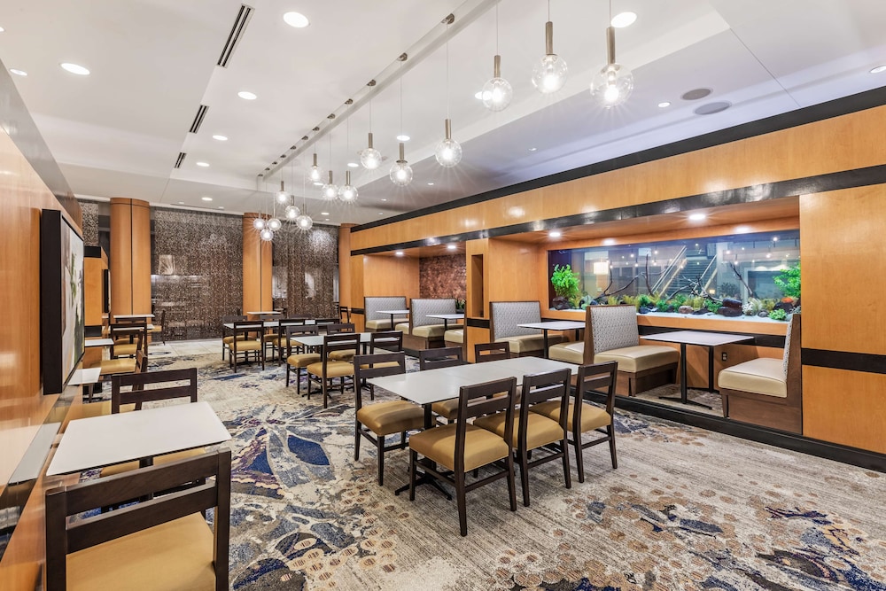 Embassy Suites by Hilton Houston Energy Corridor - photo 31