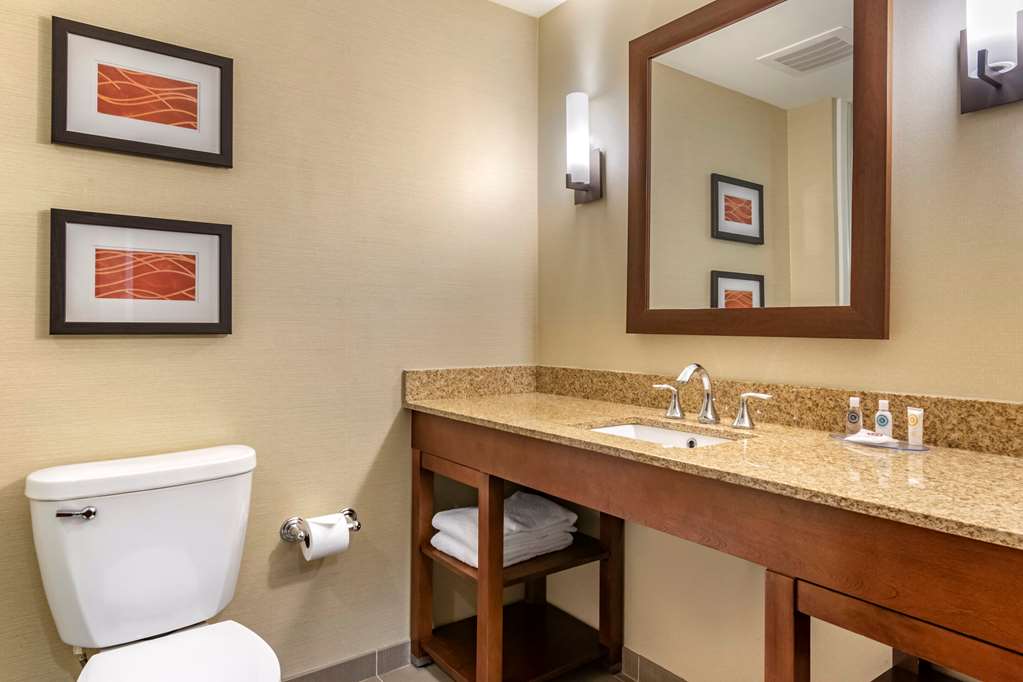 Comfort Inn PA Turnpike 1 81 - photo 8