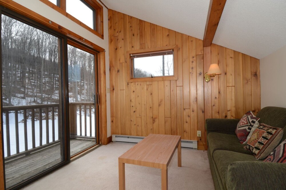 Ski Inn - photo 11