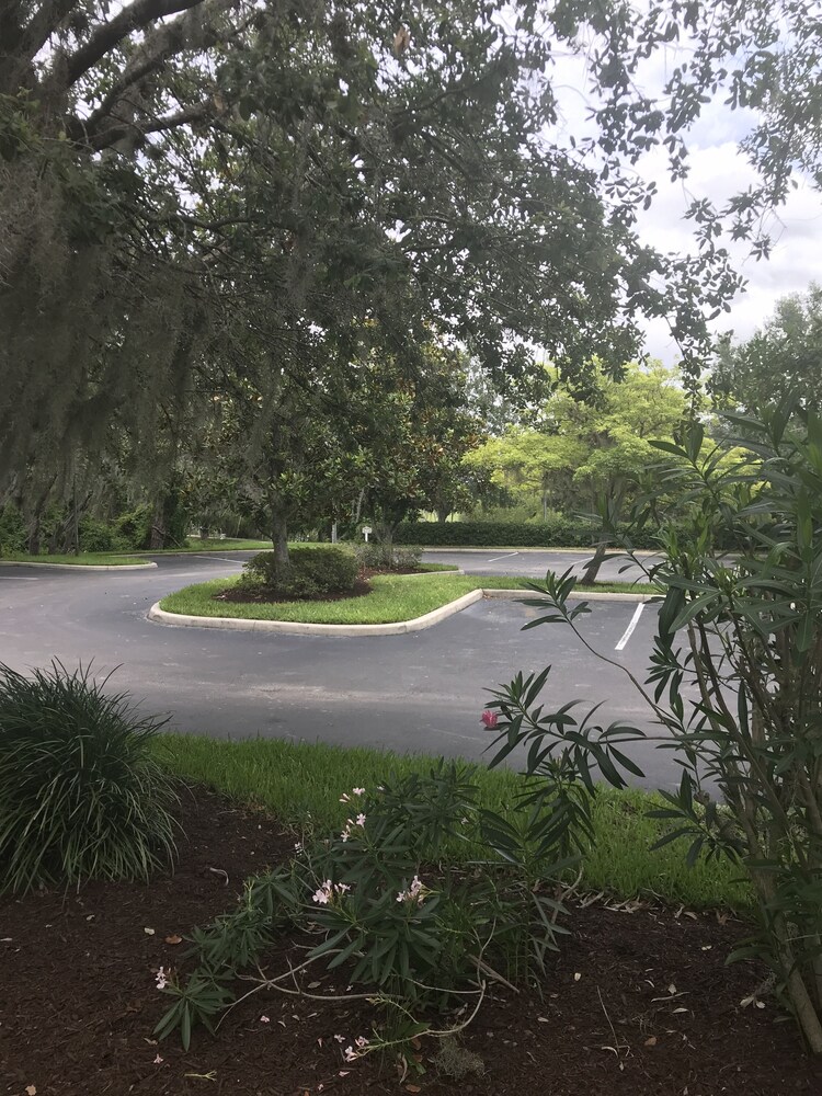 Bahama Bay Resort Orlando - photo 10