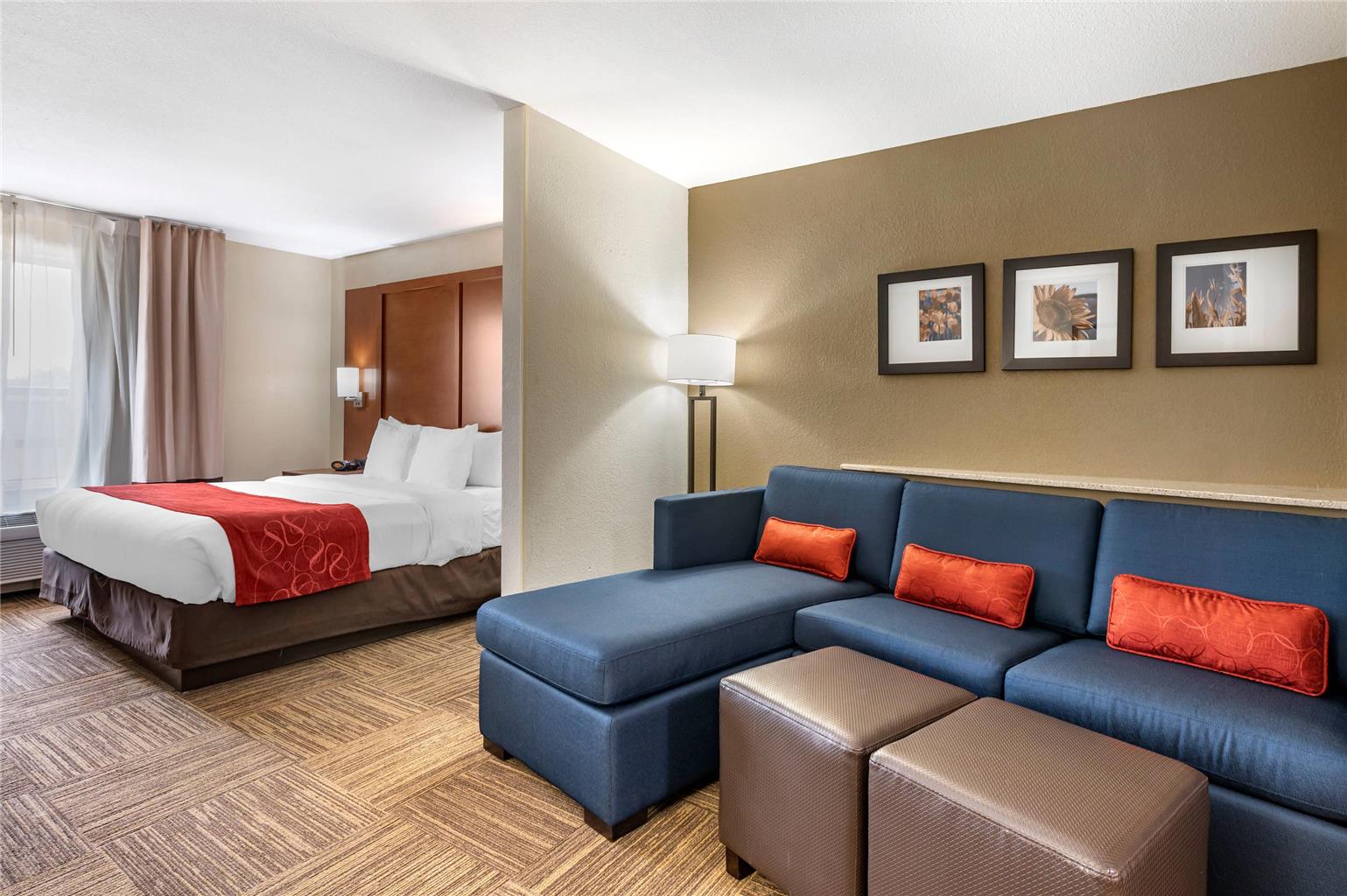 Comfort Suites Urbana Champaign University Area - photo 18