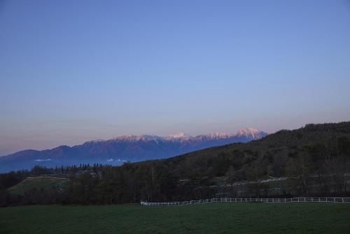 Yatsugatake Hachi 八ヶ岳 ハチ — Hokuto — photo 3