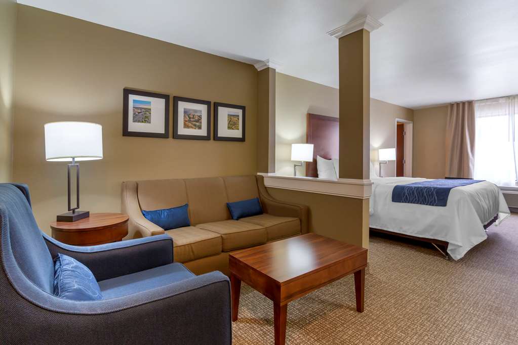 Comfort Inn & Suites Mandan Bismarck - photo 20