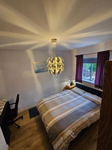 Private Room in Dublin
