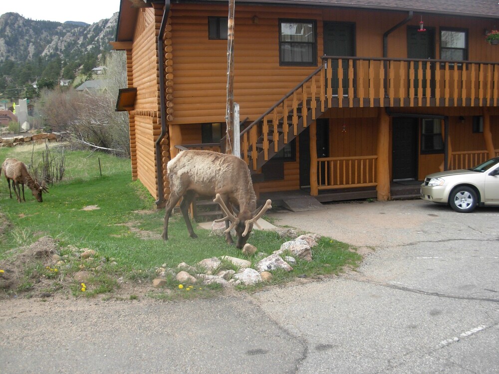 Murphy's River Lodge - photo 84
