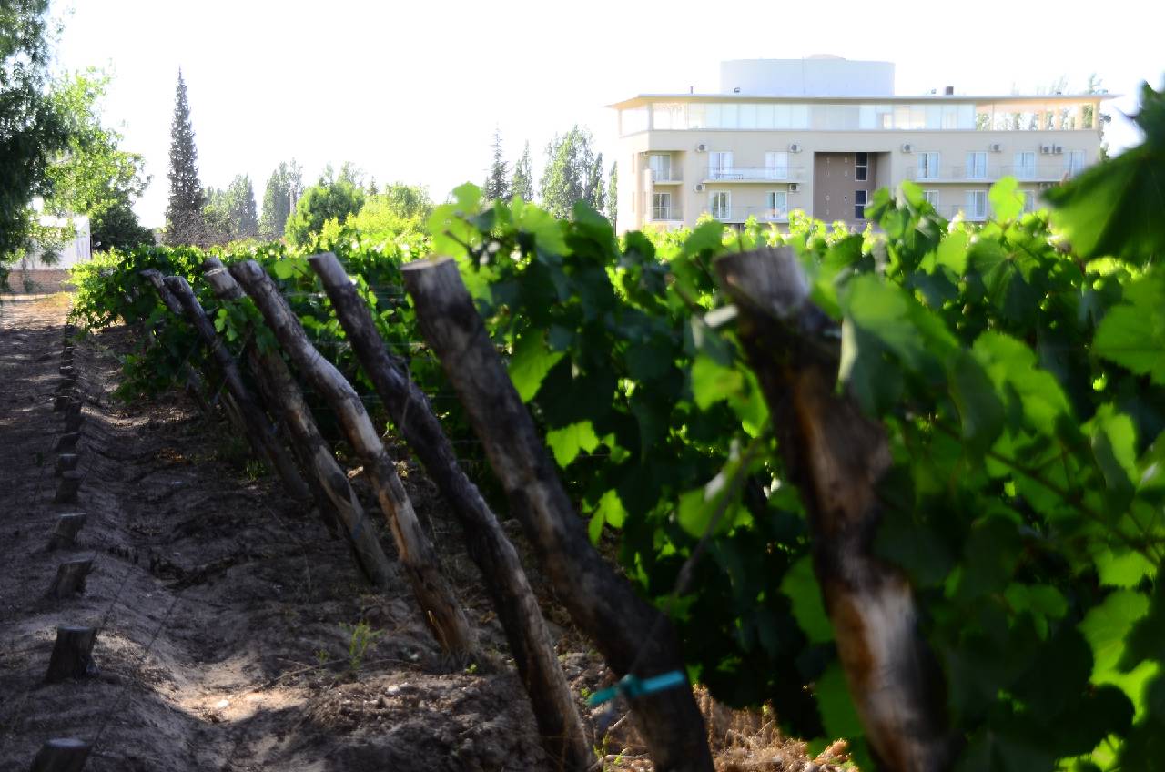 Hotel Finca Hermitage in Unknown City, Argentina