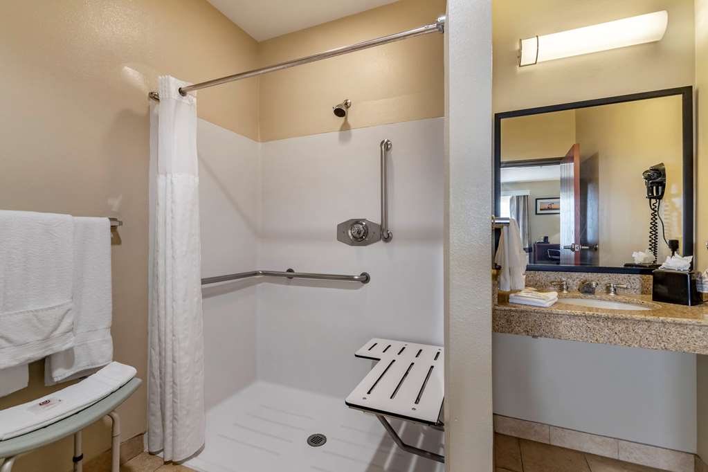 Comfort Suites Buda Austin South - photo 11
