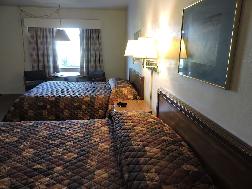 The Golden Inn - photo 13