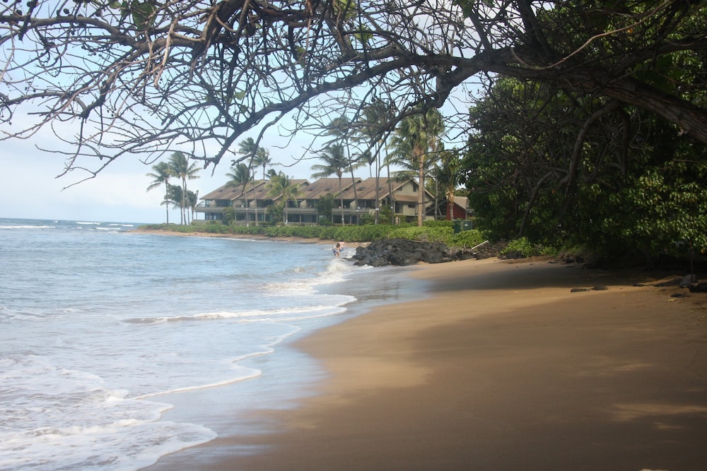 Love & Discover the Place of Your Dreams in 305 Lahaina - photo 15