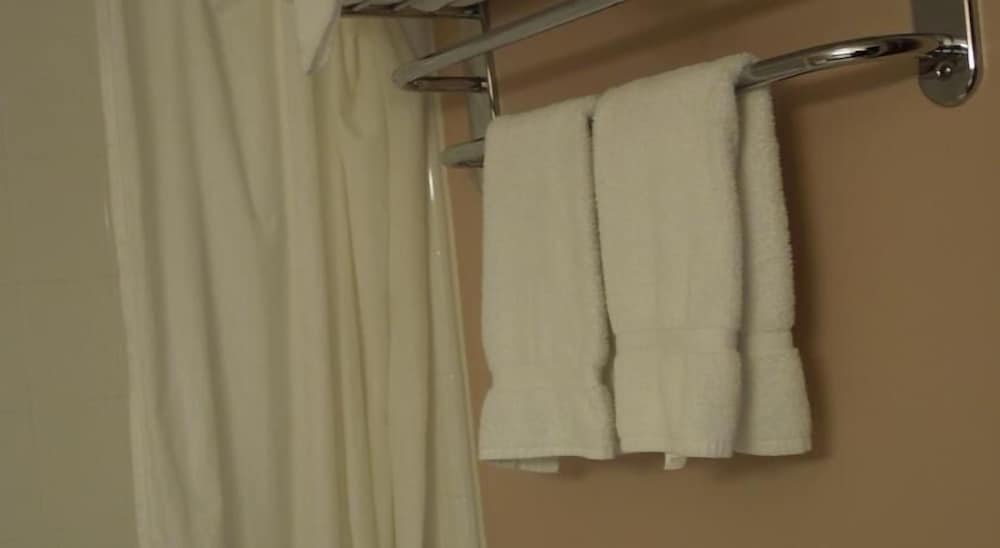 Alamar Resort Inn - photo 35