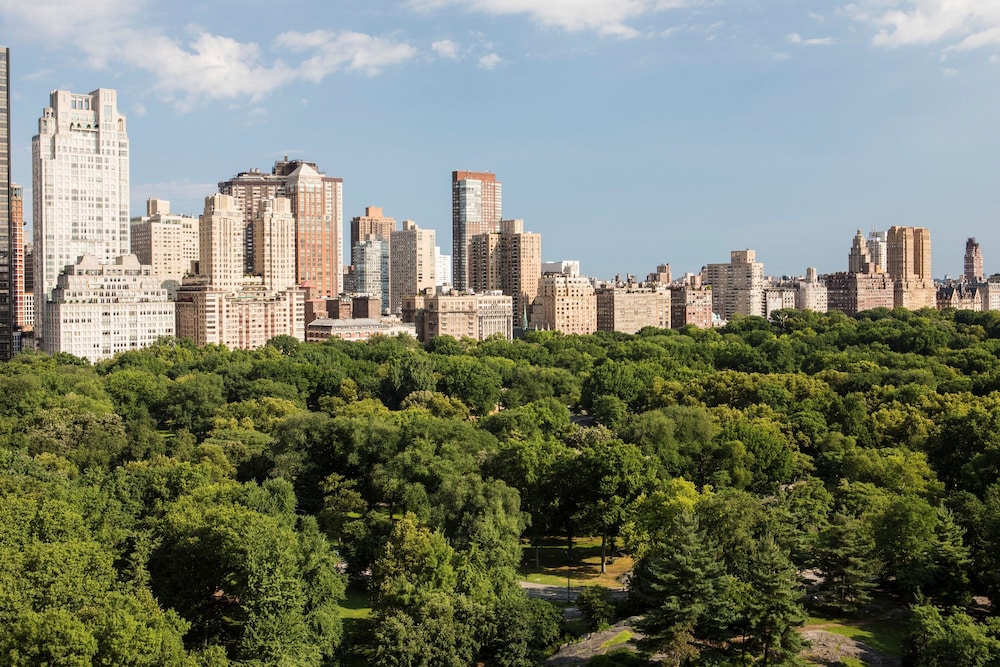The Ritz Carlton New York Central Park - photo 119