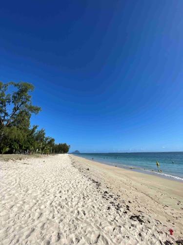 Sandy Shore - carbon neutral hotel in Flic En Flac