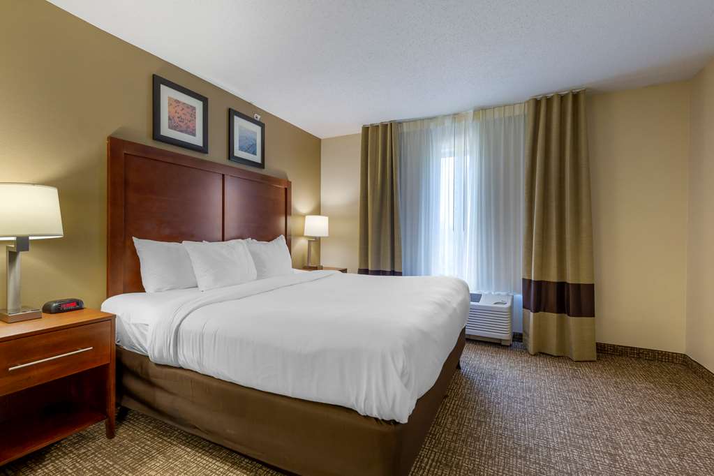 Comfort Inn & Suites Cambridge - photo 10