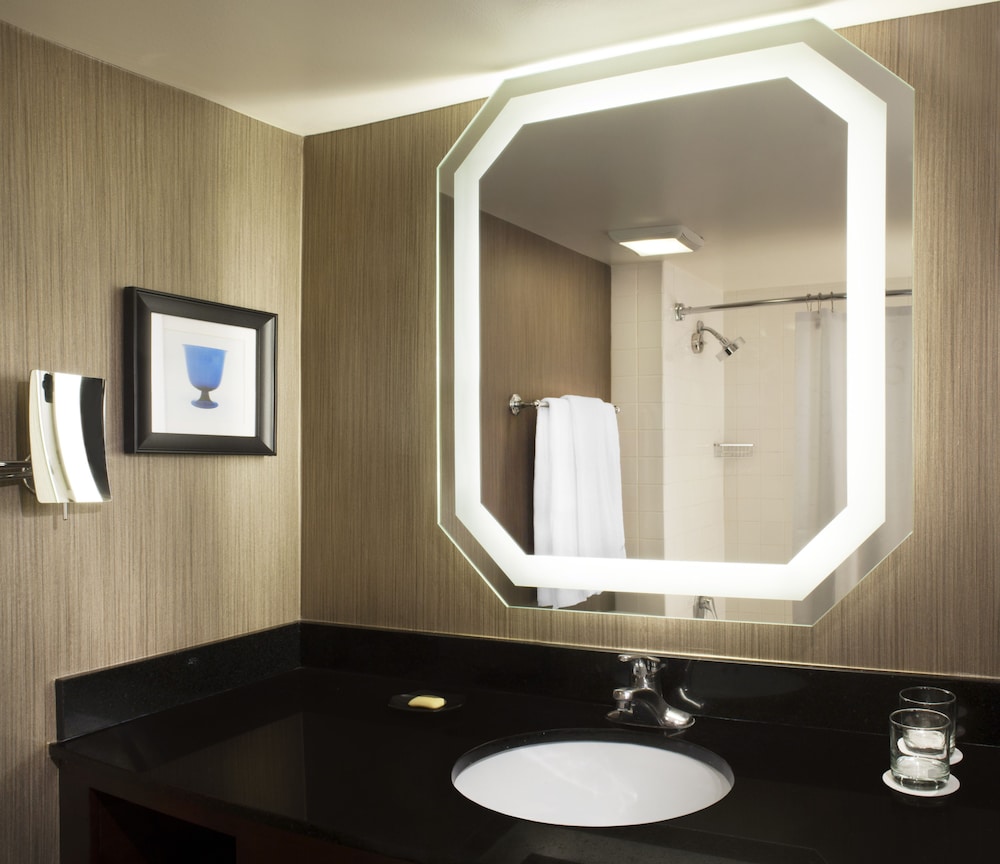 Sheraton DFW Airport Hotel - photo 20