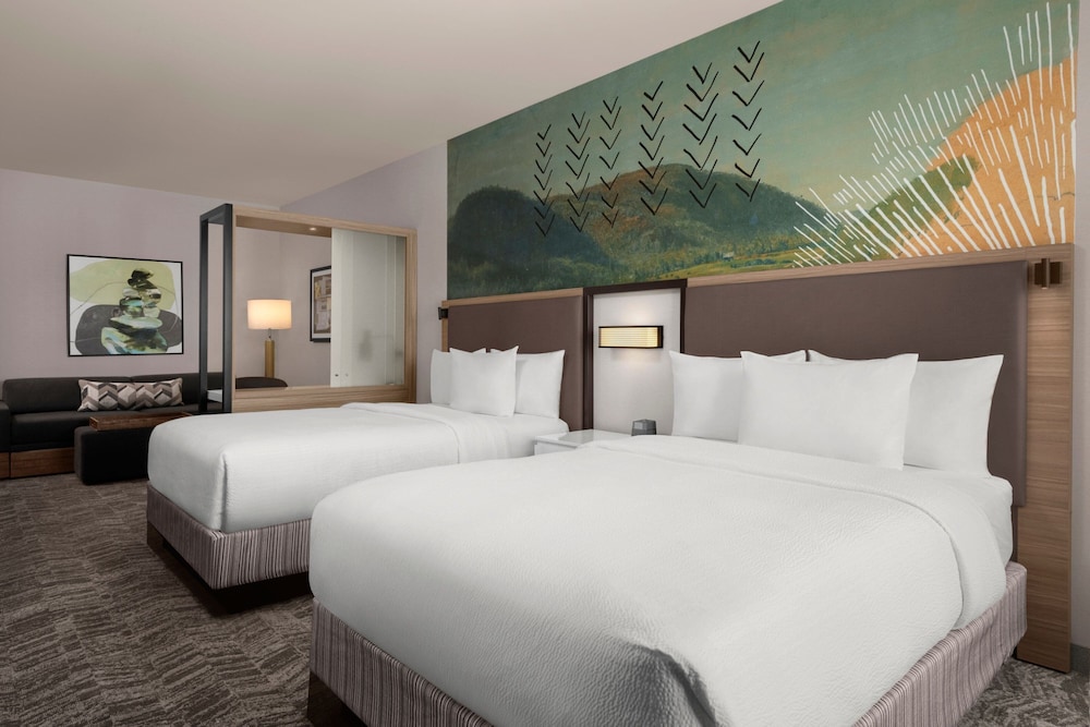 SpringHill Suites by Marriott Chula Vista Eastlake - photo 8