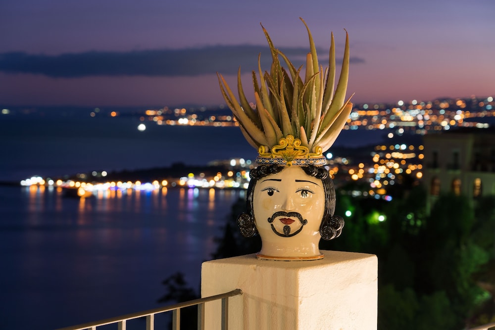 מראה חיצוני