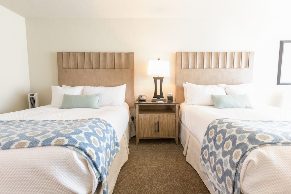 Cambria Landing Inn & Suites - photo 4