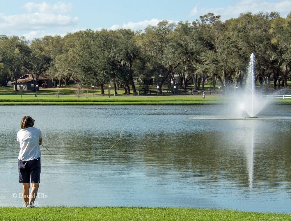 The Grand Oaks Resort - photo 141