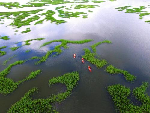 403 Main Sail - last minute hotel in Hilton Head Island