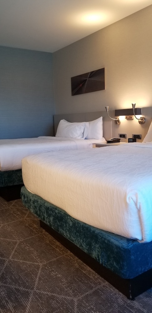 Hilton Garden Inn Colorado Springs Downtown - photo 22