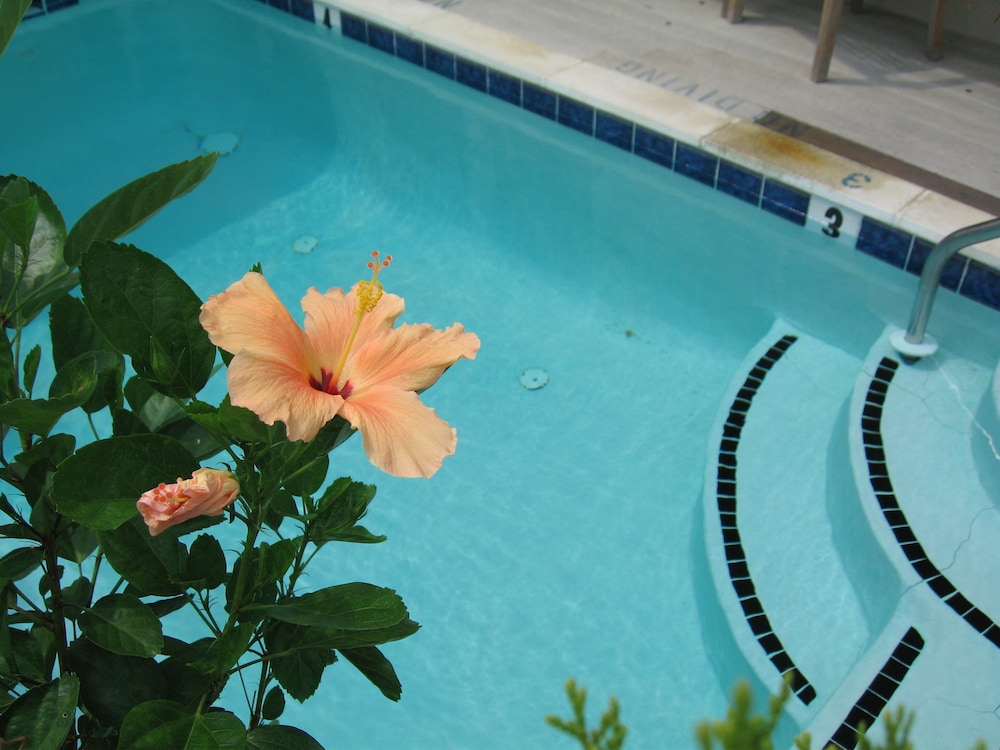 Canalside Inn - photo 122