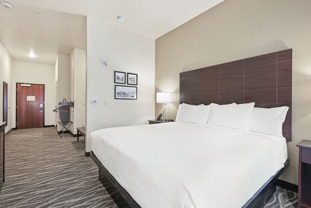 Cobblestone Hotel & Suites Mosinee - photo 30