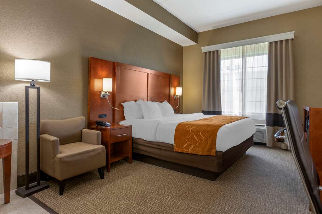 Comfort Suites Grand Rapids South - photo 14