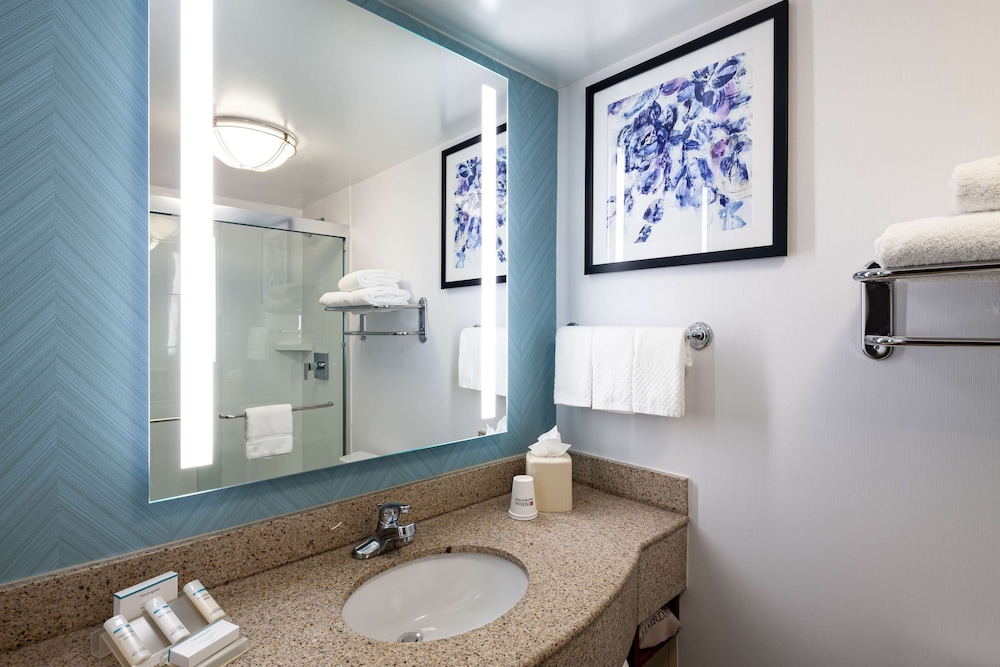 Hilton Garden Inn Chicago OHare Airport - photo 19