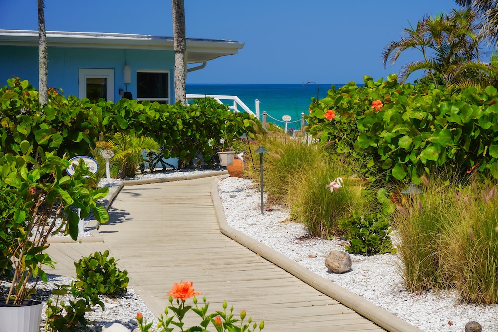 Pearl Beach Inn - photo 60