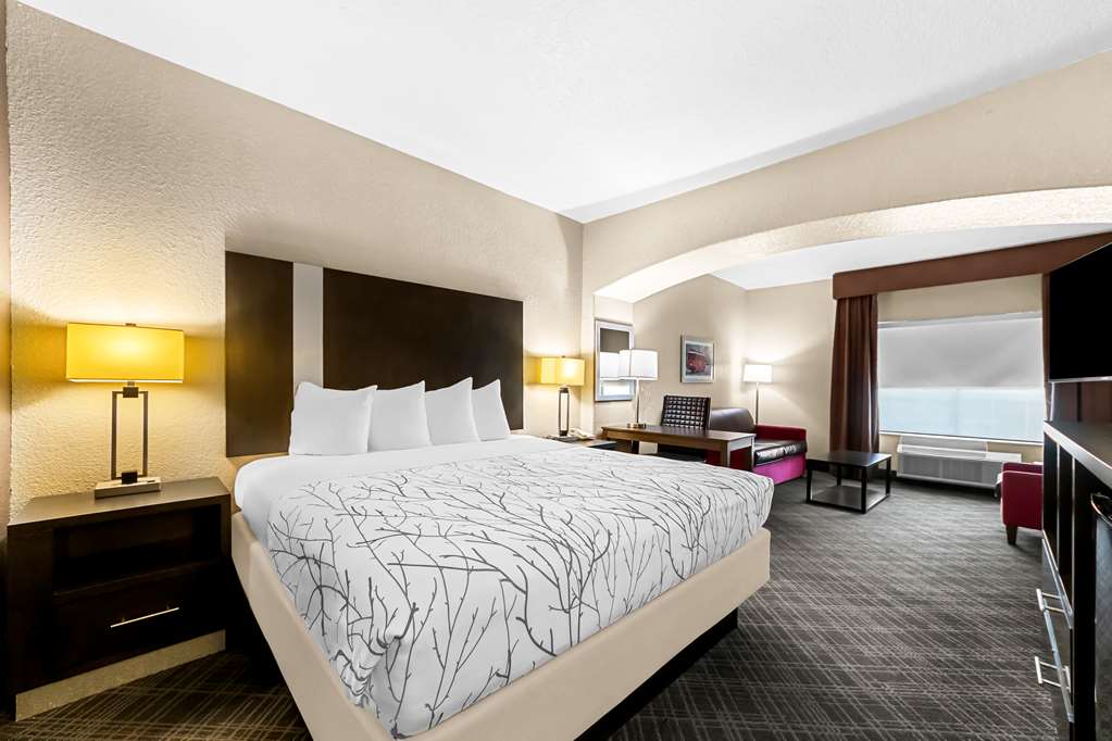 Best Western Boerne Inn & Suites - photo 4