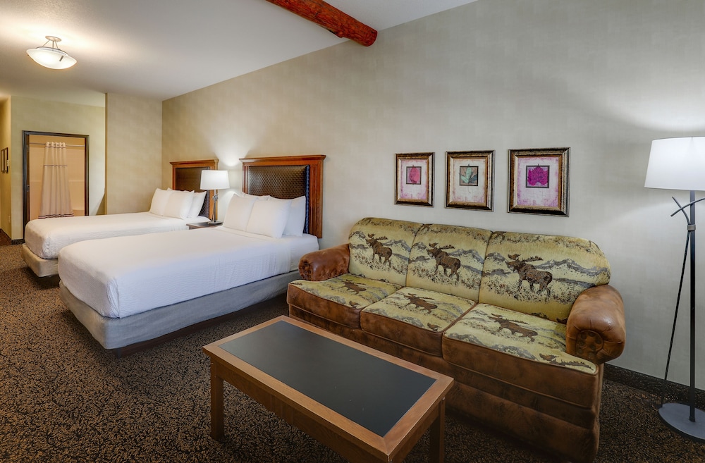 Stoney Creek Hotel Sioux City - photo 17