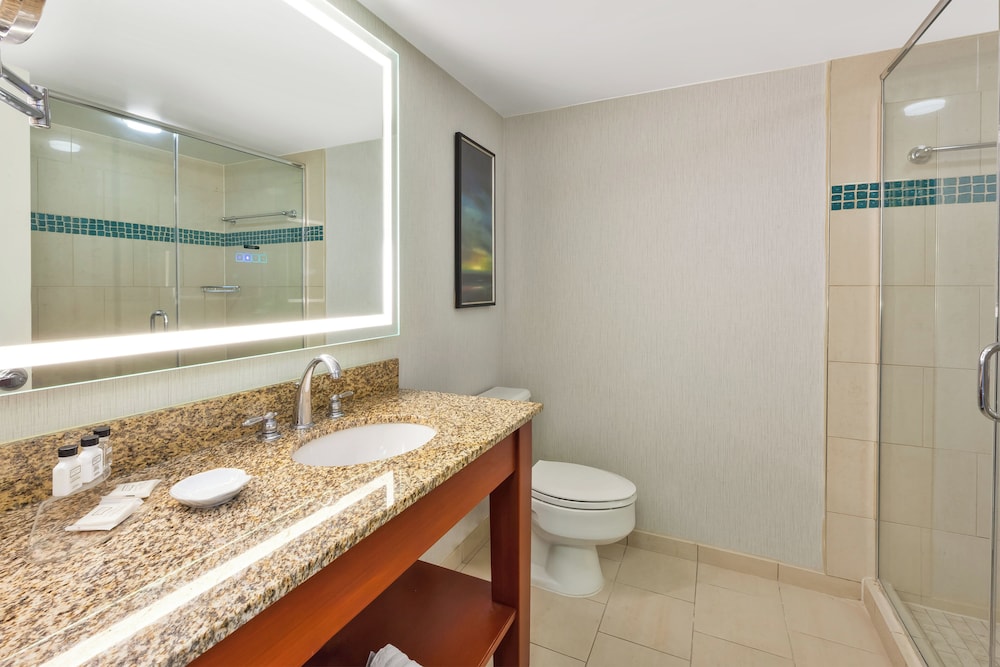 Crowne Plaza Dulles Airport by IHG - photo 66