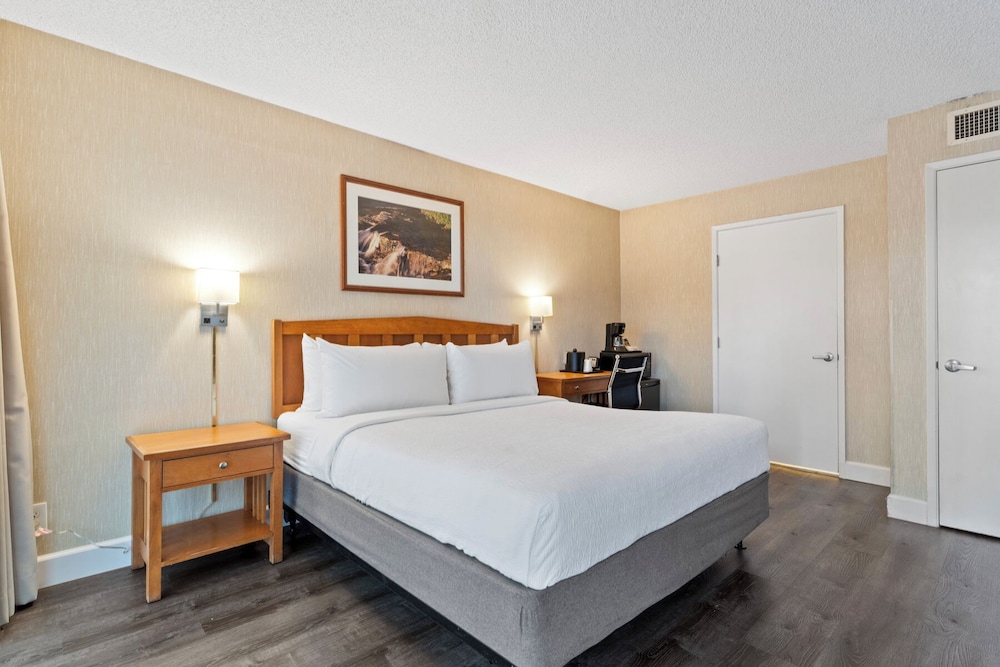 Vagabond Inn Executive San Francisco Airport - photo 16