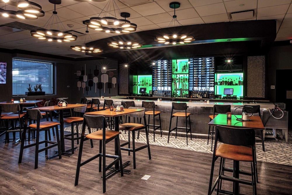 Embassy Suites by Hilton Chicago O'Hare Rosemont - photo 36