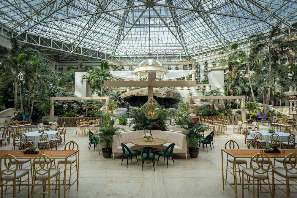 Gaylord Palms Resort & Convention Center - photo 90