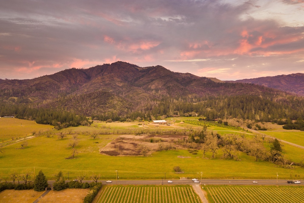 Wellington by Avantstay Secluded Wine Country Estate w Gorgeous Mtn Views - photo 7
