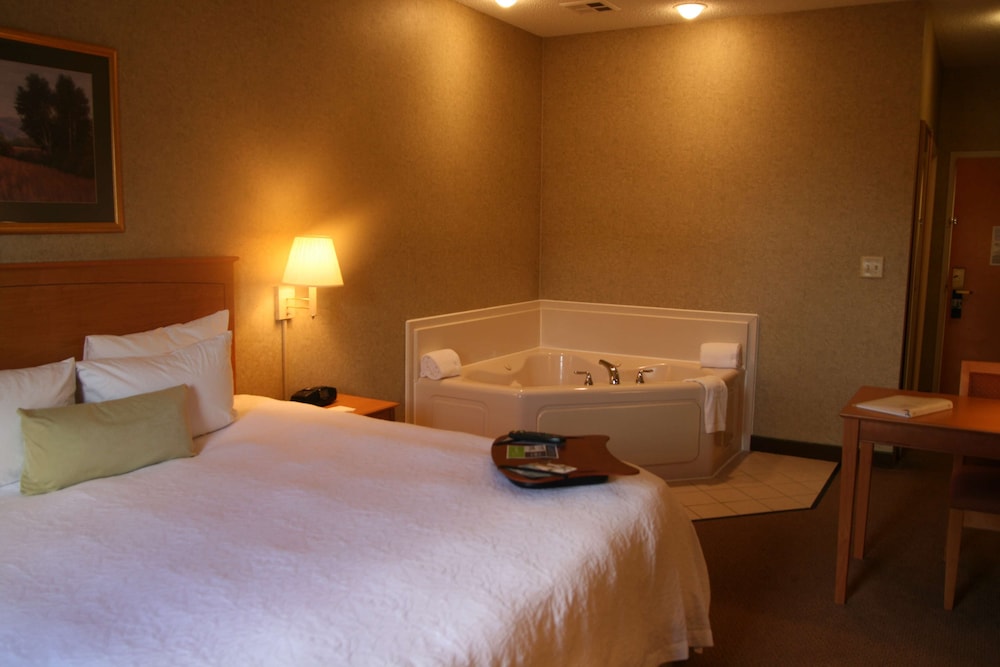 Hampton Inn & Suites Kalamazoo Oshtemo - photo 9