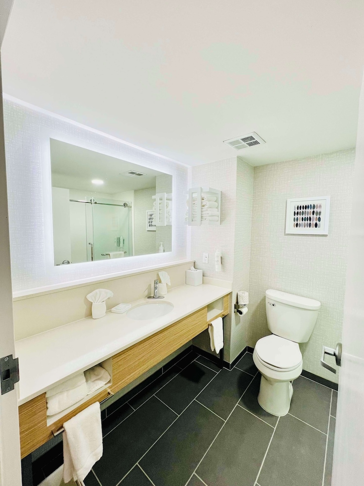 Hampton Inn Stony Creek Petersburg Area - photo 12