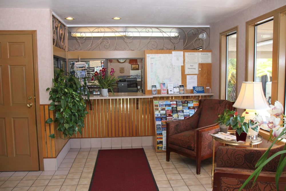 Villa Inn - photo 3