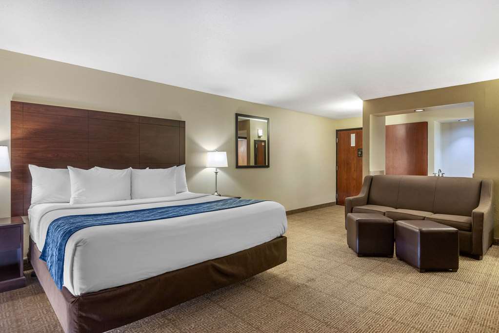 Comfort Inn Grand Rapids Airport - photo 7