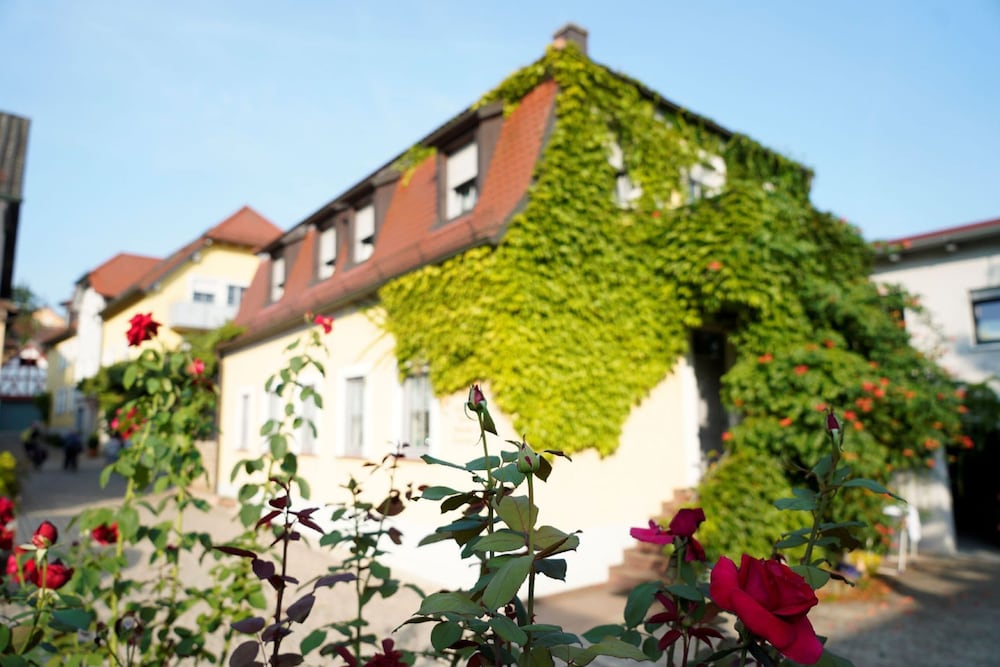 Weingut Martin Blass - last minute hotel in Erlabrunn