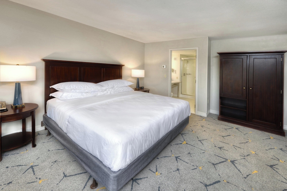 Sheraton Baltimore Washington Airport Hotel BWI - photo 17