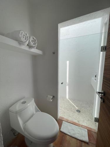 Casa Golondrina — Xochitepec — photo 4
