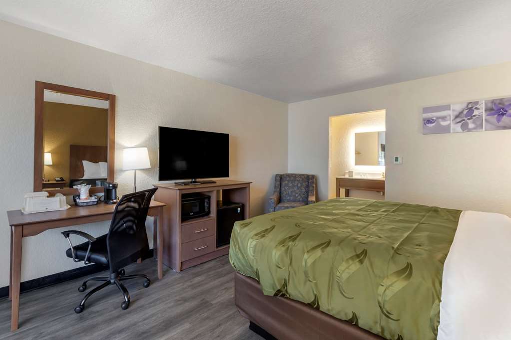 Quality Inn Saint Petersburg North Tampa Bay - photo 15