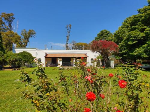 La Diferencia in Chivilcoy, Argentina