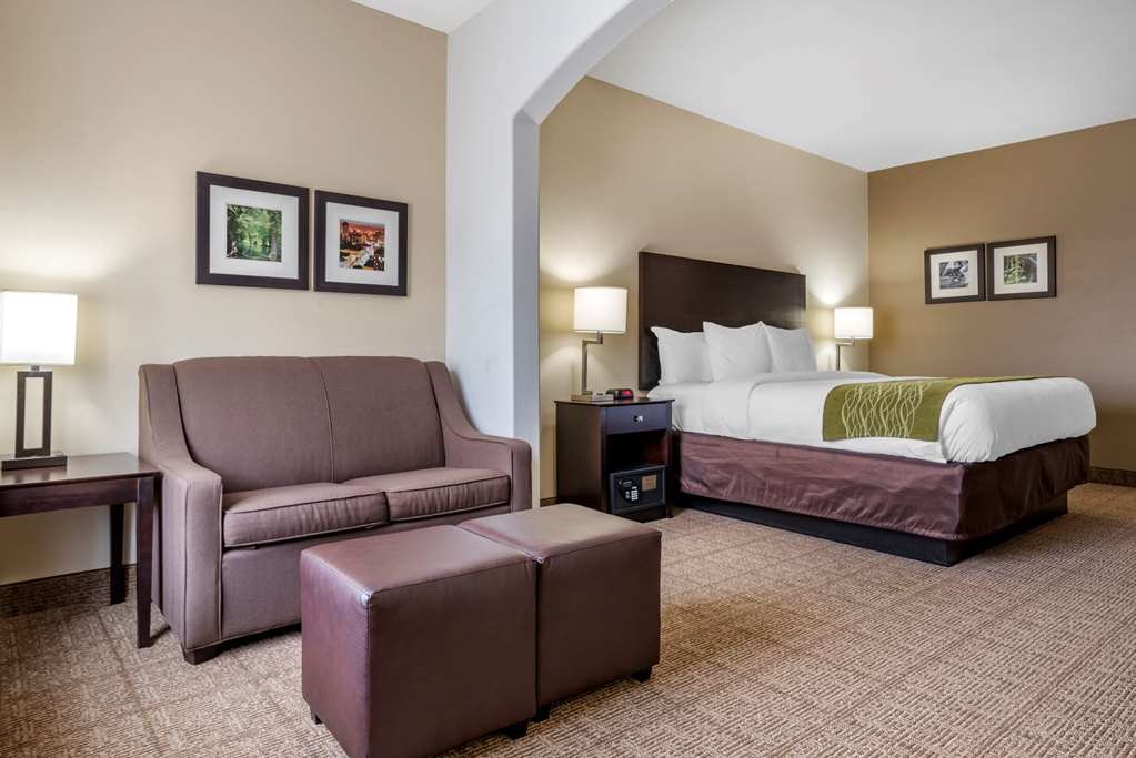 Comfort Inn & Suites Scott West Lafayette - photo 14